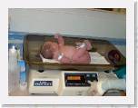 IM005136001 * Sept 7, 2005: Abigail getting weighed * 766 x 574 * (99KB)